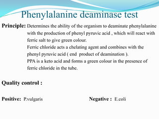 Phenylalanine deaminase test
Principle: Determines the ability of the organism to deaminate phenylalanine
with the production of phenyl pyruvic acid , which will react with
ferric salt to give green colour.
Ferric chloride acts a chelating agent and combines with the
phenyl pyruvic acid ( end product of deamination ).
PPA is a keto acid and forms a green colour in the presence of
ferric chloride in the tube.

Quality control :
Positive: P.vulgaris

Negative : E.coli

 