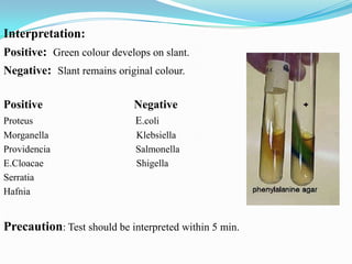 Interpretation:
Positive: Green colour develops on slant.
Negative: Slant remains original colour.
Positive

Negative

Proteus
Morganella
Providencia
E.Cloacae
Serratia
Hafnia

E.coli
Klebsiella
Salmonella
Shigella

Precaution: Test should be interpreted within 5 min.

 