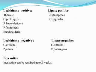 Lecithinase positive:

Lipase positive:

B.cereus
C.perfringens
A.haemolyticum
P.fluorescens
Burkhholderia

C.sporogenes
G.vaginalis

Lecithinase negative :

Lipase negative:

C.difficile
P.putida

C.difficile
C.perfringens

Precaution:
Incubation can be required upto 2 weeks.

 