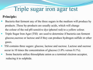 Triple sugar iron agar test
Principle:
 Bacteria that ferment any of the three sugars in the medium will produce by
products .These by-products are usually acids, which will change
the colour of the red pH-sensitive dye (phenol red) to a yellow colour.
 Triple Sugar Iron Agar (TSI) are used to determine if bacteria can ferment
glucose,sucrose or lactose and if they can produce hydrogen sulfide or other
gases.
 TSI contains three sugars: glucose, lactose and sucrose. Lactose and sucrose
occur in 10 times the concentration of glucose (1.0% versus 0.1%).
 Some bacteria utilize thiosulphate anion as a terminal electron acceptor,
reducing it to sulphide.

 