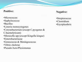 Positive:

Negative:

•Micrococcus
•Saphylococcus
•Bacillus
•Listeria monocytogenes
•Corynebacterium (except C.pyogenes &
C.haemolyticum)
•Moraxella spp (except Kingella kingae)
•Enterobacteriacae
•Gonococcus & Meningococcus
•Vibrio cholerae
•Pseudo/Aero/Plesiomonas

•Streptococcus
•Clostridium
•Erysipleothrix

 