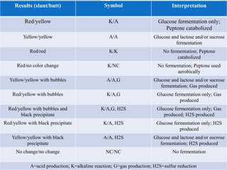 Results (slant/butt)

Symbol

Interpretation

Red/yellow

K/A

Glucose fermentation only;
Peptone catabolized

Yellow/yellow

A/A

Glucose and lactose and/or sucrose
fermentation

Red/red

K/K

No fermentation; Peptone
catabolized

Red/no color change

K/NC

No fermentation; Peptone used
aerobically

Yellow/yellow with bubbles

A/A,G

Glucose and lactose and/or sucrose
fermentation; Gas produced

Red/yellow with bubbles

K/A,G

Glucose fermentation only; Gas
produced

Red/yellow with bubbles and
black precipitate

K/A,G, H2S

Glucose fermentation only; Gas
produced; H2S produced

Red/yellow with black precipitate

K/A, H2S

Glucose fermentation only; H2S
produced

Yellow/yellow with black
precipitate

A/A, H2S

Glucose and lactose and/or sucrose
fermentation; H2S produced

No change/no change

NC/NC

No fermentation

A=acid production; K=alkaline reaction; G=gas production; H2S=sulfur reduction

 