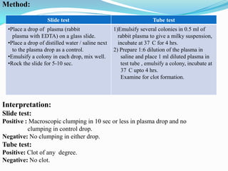 Method:
Slide test

Tube test

•Place a drop of plasma (rabbit
plasma with EDTA) on a glass slide.
•Place a drop of distilled water / saline next
to the plasma drop as a control.
•Emulsify a colony in each drop, mix well.
•Rock the slide for 5-10 sec.

1)Emulsify several colonies in 0.5 ml of
rabbit plasma to give a milky suspension,
incubate at 37 C for 4 hrs.
2) Prepare 1:6 dilution of the plasma in
saline and place 1 ml diluted plasma in
test tube , emulsify a colony, incubate at
37 C upto 4 hrs.
Examine for clot formation.

Interpretation:
Slide test:
Positive : Macroscopic clumping in 10 sec or less in plasma drop and no
clumping in control drop.
Negative: No clumping in either drop.

Tube test:
Positive: Clot of any degree.
Negative: No clot.

 