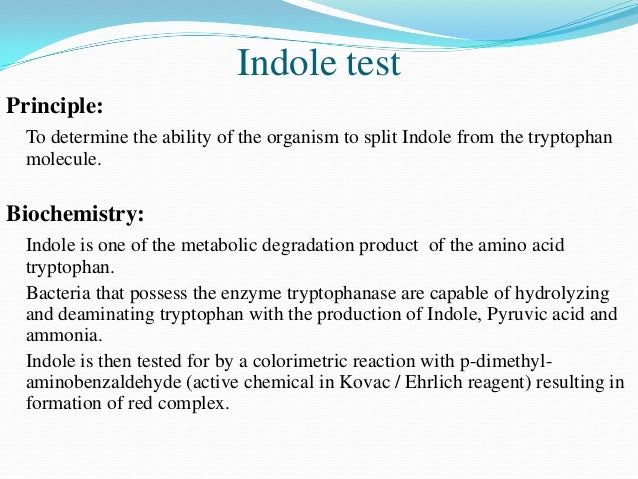 INDOLE TEST PROCEDURE PDF DOWNLOAD INDOLE TEST PROCEDURE PDF DOWNLOAD