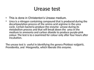 Urease test
• This is done in Christenton’s Urease medium.
• Urea is a nitrogen containing compound that is produced during the
decarboxylation process of the amino acid arginine in the urea
cycle. Certain bacteria produce the enzyme urease during its
metabolism process and that will break down the urea in the
medium to ammonia and carbon dioxide to produce purple-pink
colour. The test is to e examined for colour only after four hours after
incubation.
The urease test is useful in identifying the genera Proteus vulgaris,
Providentia, and Morganella, which liberate this enzyme.
 