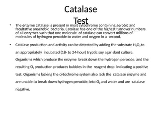 Catalase
Test
• The enzyme catalase is present in most cytochrome containing aerobic and
facultative anaerobic bacteria. Catalase has one of the highest turnover numbers
of all enzymes such that one molecule of catalase can convert millions of
molecules of hydrogen peroxide to water and oxygen in a second.
• Catalase production and activity can be detected by adding the substrate H2O2 to
an appropriately incubated (18- to 24-hour) tryptic soy agar slant culture.
Organisms which produce the enzyme break down the hydrogen peroxide, and the
resulting O2 production produces bubbles in the reagent drop, indicating a positive
test. Organisms lacking the cytochrome system also lack the catalase enzyme and
are unable to break down hydrogen peroxide, into O2 and water and are catalase
negative.
 