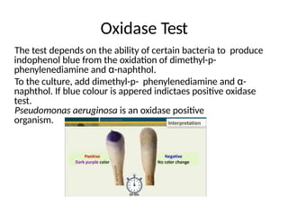 Oxidase Test
The test depends on the ability of certain bacteria to produce
indophenol blue from the oxidation of dimethyl-p-
phenylenediamine and α-naphthol.
To the culture, add dimethyl-p- phenylenediamine and α-
naphthol. If blue colour is appered indictaes positive oxidase
test.
Pseudomonas aeruginosa is an oxidase positive
organism.
 