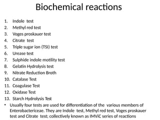 1. Indole test
2. Methyl red test
3. Voges proskauer test
4. Citrate test
5. Triple sugar ion (TSI) test
6. Urease test
7. Sulphide indole motility test
8. Gelatin Hydrolysis test
9. Nitrate Reduction Broth
10. Catalase Test
11. Coagulase Test
12. Oxidase Test
13. Starch Hydrolysis Test
• Usually four tests are used for differentiation of the various members of
Enterobactericeae. They are Indole test, Methyl red test, Voges proskauer
test and Citrate test; collectively known as IMViC series of reactions
Biochemical reactions
 