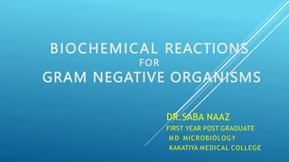 BIOCHEMICAL REACTIONS
FOR
GRAM NEGATIVE ORGANISMS
DR.SABA NAAZ
FIRST YEAR POST GRADUATE
M D MICROBIOLOGY
KAKATIYA MEDICAL COLLEGE
 