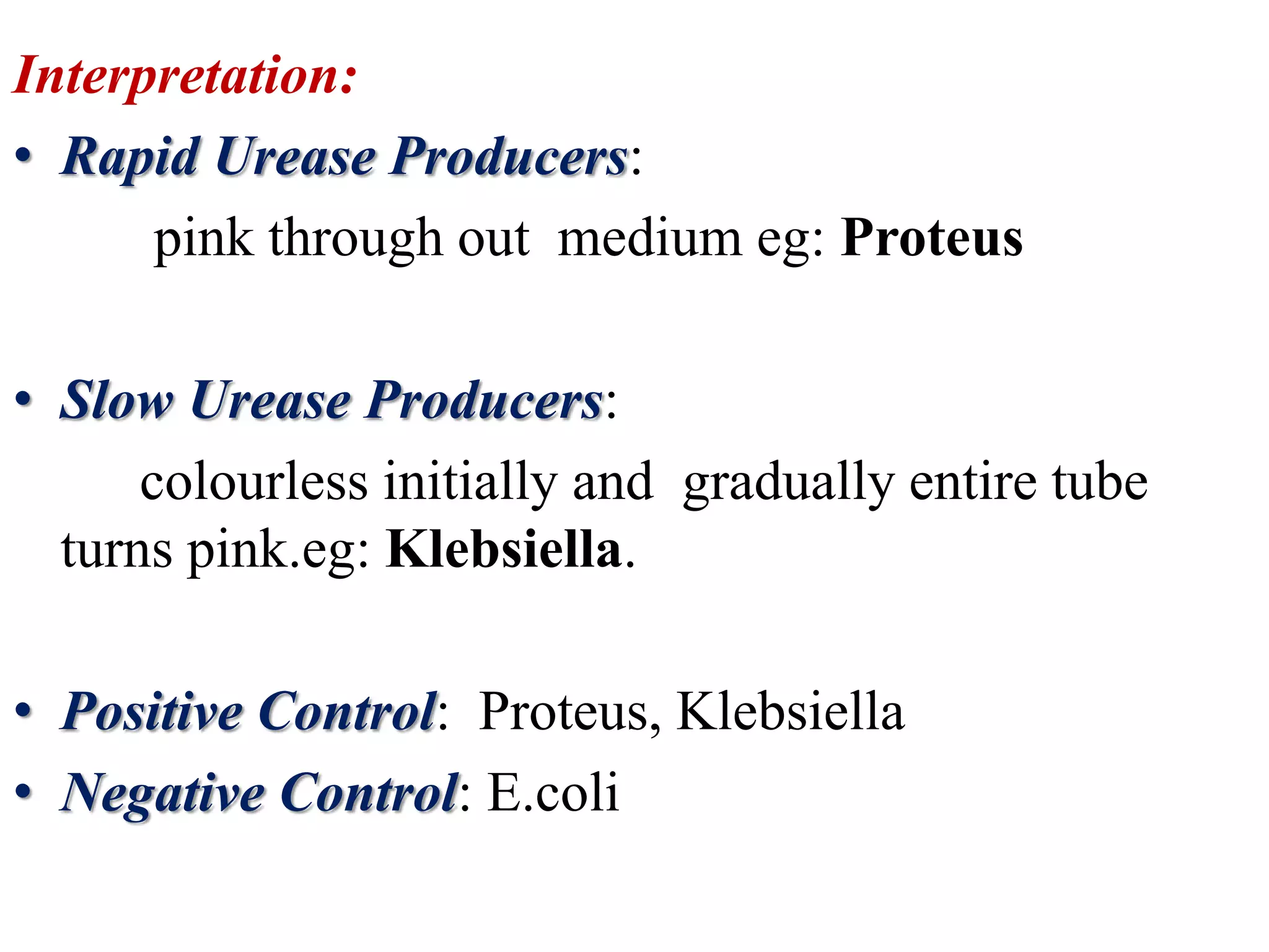 Biochemical reactions new | PPTX
