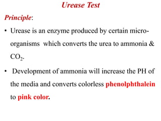 Biochemical reactions new | PPTX