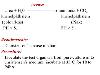 Biochemical reactions new | PPTX