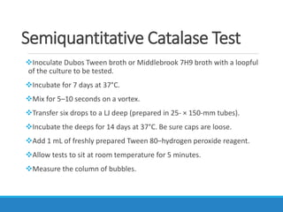 Semiquantitative Catalase Test
Inoculate Dubos Tween broth or Middlebrook 7H9 broth with a loopful
of the culture to be tested.
Incubate for 7 days at 37°C.
Mix for 5–10 seconds on a vortex.
Transfer six drops to a LJ deep (prepared in 25- × 150-mm tubes).
Incubate the deeps for 14 days at 37°C. Be sure caps are loose.
Add 1 mL of freshly prepared Tween 80–hydrogen peroxide reagent.
Allow tests to sit at room temperature for 5 minutes.
Measure the column of bubbles.
 
