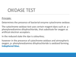OXIDASE TEST
Principle:
Determines the presence of bacterial enzyme cytochrome oxidase.
The cytochrome oxidase test uses certain reagent dyes such as p -
phenylenediamine dihydrochloride, that substitute for oxygen as
artificial electron acceptors.
In the reduced state the dye is colourless;
however in the presence of cytochrome oxidase and atmospheric
oxygen, p- phenylenediamine dihydrochloride is oxidized forming
indophenol blue.
 
