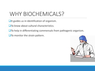 WHY BIOCHEMICALS?
It guides us in identification of organism.
To know about cultural characteristics.
To help in differentiating commensals from pathogenic organism.
To monitor the strain pattern.
 