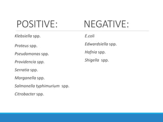 POSITIVE: NEGATIVE:
Klebsiella spp.
Proteus spp.
Pseudomonas spp.
Providencia spp.
Serratia spp.
Morganella spp.
Salmonella typhimurium spp.
Citrobacter spp.
E.coli
Edwardsiella spp.
Hafnia spp.
Shigella spp.
 