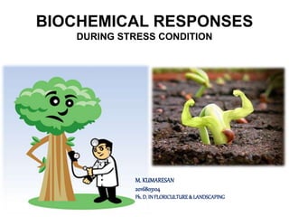 BIOCHEMICAL RESPONSES
DURING STRESS CONDITION
M. KUMARESAN
2016803104
Ph. D. IN FLORICULTURE& LANDSCAPING
 