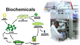 Biochemicals
 