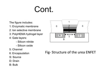 Fig- Structure of the urea ENFET
The figure includes:
1: Enzymatic membrane
2: Ion selective membrane
3: PolyHEMA hydrogel layer
4: Gate layers:
- Silicon nitride
- Silicon oxide
5: Channel
6: Encapsulation
S: Source
D: Drain
B: Bulk
Cont.
 