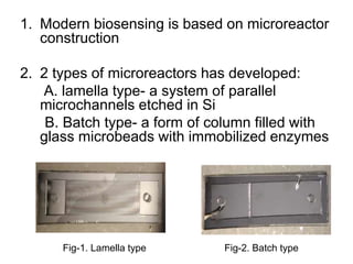 Fig-1. Lamella type Fig-2. Batch type
1. Modern biosensing is based on microreactor
construction
2. 2 types of microreactors has developed:
A. lamella type- a system of parallel
microchannels etched in Si
B. Batch type- a form of column filled with
glass microbeads with immobilized enzymes
 