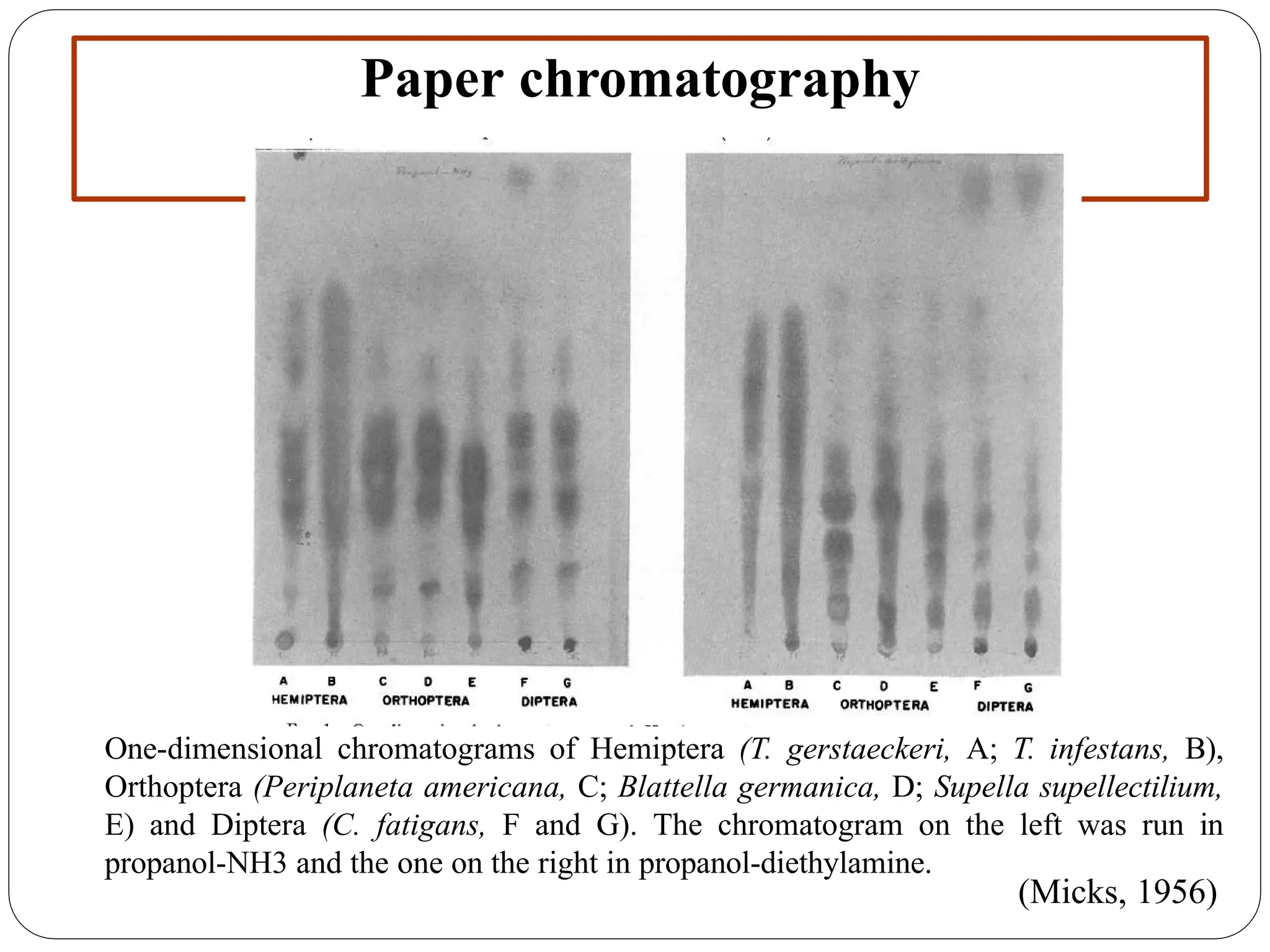 Paper chromatography
One-dimensional chromatograms of Hemiptera (T. gerstaeckeri, A; T. infestans, B),
Orthoptera (Periplaneta americana, C; Blattella germanica, D; Supella supellectilium,
E) and Diptera (C. fatigans, F and G). The chromatogram on the left was run in
propanol-NH3 and the one on the right in propanol-diethylamine.
(Micks, 1956)
 