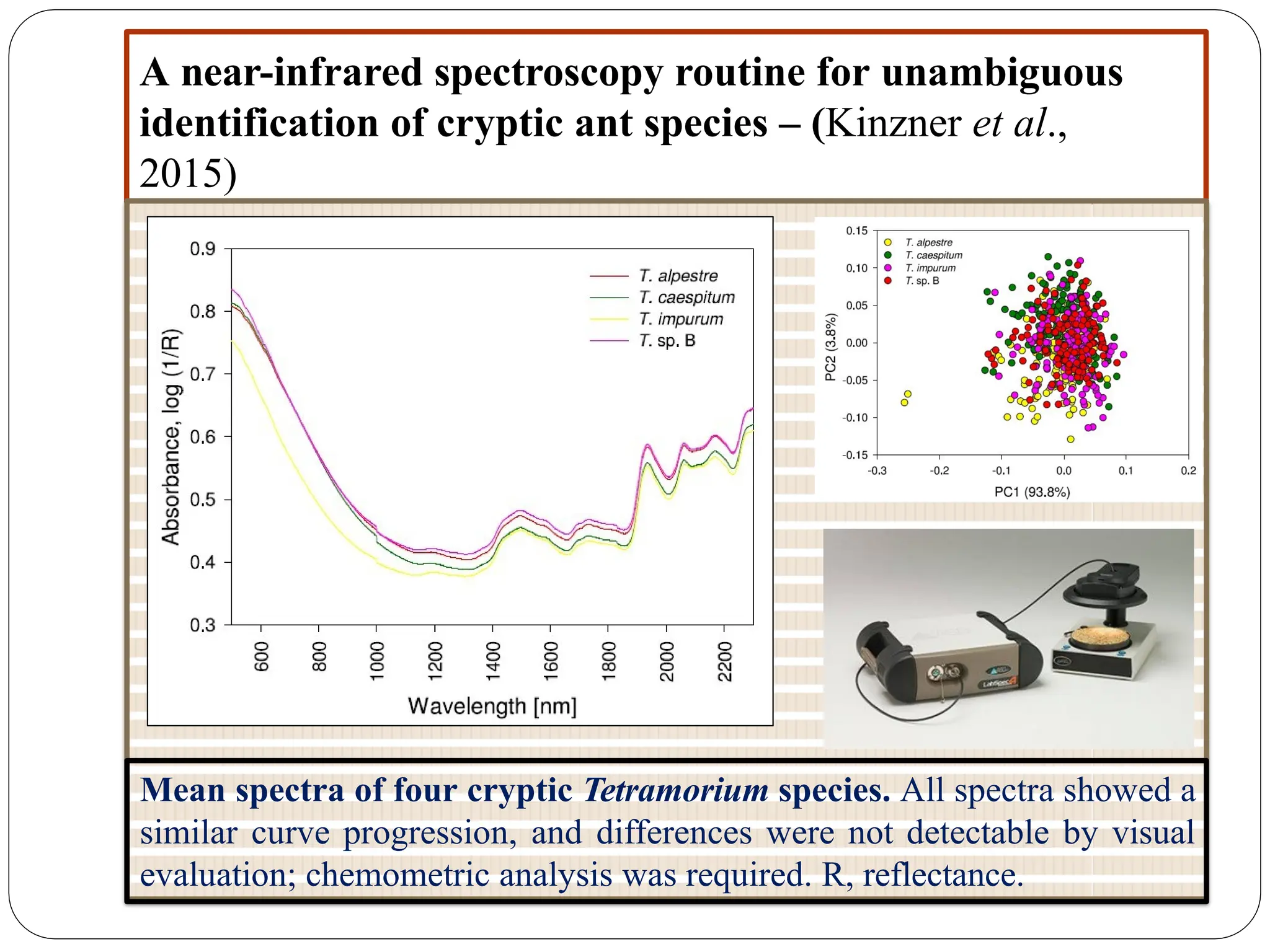 A near-infrared spectroscopy routine for unambiguous
identification of cryptic ant species – (Kinzner et al.,
2015)
Mean spectra of four cryptic Tetramorium species. All spectra showed a
similar curve progression, and differences were not detectable by visual
evaluation; chemometric analysis was required. R, reflectance.
 