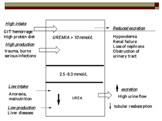 Biochemical testing of renal function (1).pdf