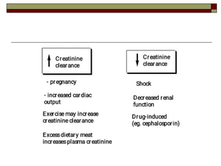 Biochemical testing of renal function (1).pdf