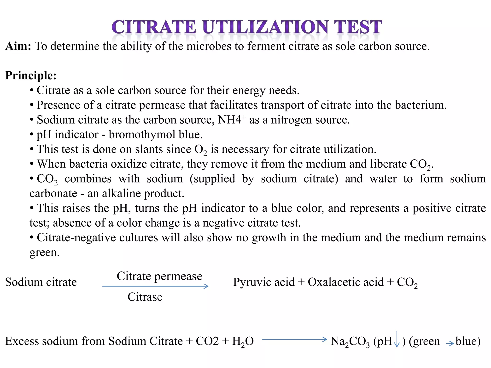 Aim: To determine the ability of the microbes to ferment citrate as sole carbon source.

Principle:
    • Citrate as a sole carbon source for their energy needs.
    • Presence of a citrate permease that facilitates transport of citrate into the bacterium.
    • Sodium citrate as the carbon source, NH4+ as a nitrogen source.
    • pH indicator - bromothymol blue.
    • This test is done on slants since O2 is necessary for citrate utilization.
    • When bacteria oxidize citrate, they remove it from the medium and liberate CO2.
    • CO2 combines with sodium (supplied by sodium citrate) and water to form sodium
    carbonate - an alkaline product.
    • This raises the pH, turns the pH indicator to a blue color, and represents a positive citrate
    test; absence of a color change is a negative citrate test.
    • Citrate-negative cultures will also show no growth in the medium and the medium remains
    green.

Sodium citrate        Citrate permease        Pyruvic acid + Oxalacetic acid + CO2
                         Citrase


Excess sodium from Sodium Citrate + CO2 + H2O                      Na2CO3 (pH ) (green      blue)
 