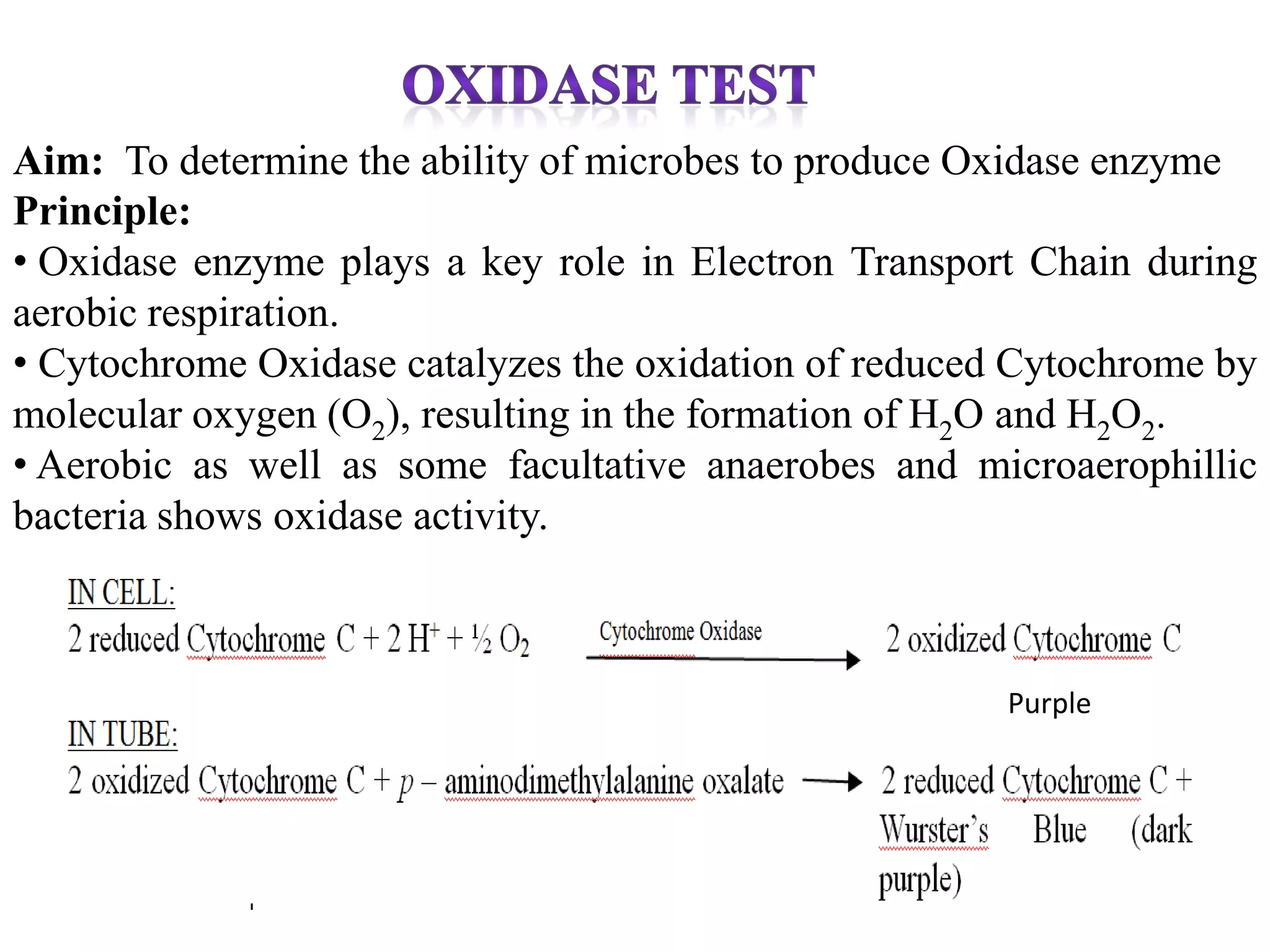 Aim: To determine the ability of microbes to produce Oxidase enzyme
Principle:
• Oxidase enzyme plays a key role in Electron Transport Chain during
aerobic respiration.
• Cytochrome Oxidase catalyzes the oxidation of reduced Cytochrome by
molecular oxygen (O2), resulting in the formation of H2O and H2O2.
• Aerobic as well as some facultative anaerobes and microaerophillic
bacteria shows oxidase activity.



                                                       Purple
 