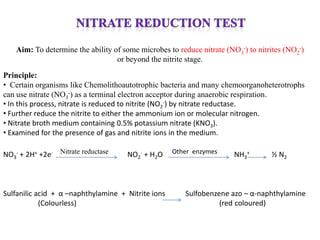 Aim: To determine the ability of some microbes to reduce nitrate (NO3-) to nitrites (NO2-)
                                   or beyond the nitrite stage.

Principle:
• Certain organisms like Chemolithoautotrophic bacteria and many chemoorganoheterotrophs
can use nitrate (NO3-) as a terminal electron acceptor during anaerobic respiration.
• In this process, nitrate is reduced to nitrite (NO2-) by nitrate reductase.
• Further reduce the nitrite to either the ammonium ion or molecular nitrogen.
• Nitrate broth medium containing 0.5% potassium nitrate (KNO3).
• Examined for the presence of gas and nitrite ions in the medium.

NO3- + 2H+ +2e- Nitrate reductase     NO2- + H2O    Other enzymes       NH3+       ½ N2



Sulfanilic acid + α –naphthylamine + Nitrite ions       Sulfobenzene azo – α-naphthylamine
            (Colourless)                                          (red coloured)
 