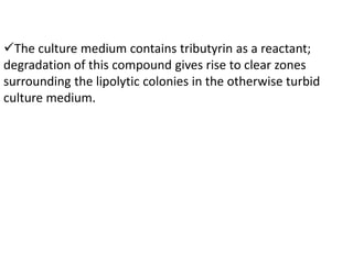 The culture medium contains tributyrin as a reactant;
degradation of this compound gives rise to clear zones
surrounding the lipolytic colonies in the otherwise turbid
culture medium.
 