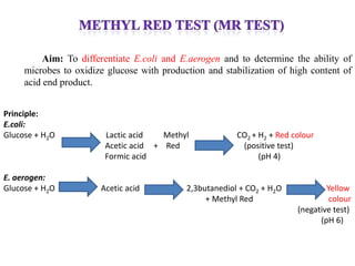 Aim: To differentiate E.coli and E.aerogen and to determine the ability of
     microbes to oxidize glucose with production and stabilization of high content of
     acid end product.


Principle:
E.coli:
Glucose + H2O           Lactic acid   Methyl             CO2 + H2 + Red colour
                        Acetic acid + Red                 (positive test)
                        Formic acid                            (pH 4)

E. aerogen:
Glucose + H2O          Acetic acid          2,3butanediol + CO2 + H2O            Yellow
                                                 + Methyl Red                     colour
                                                                         (negative test)
                                                                               (pH 6)
 