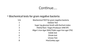 Biochemical test of bacteria. Informatio | PPT