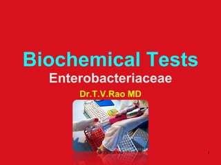 Biochemical Tests
Enterobacteriaceae
Dr.T.V.Rao MD
Dr.T.V.Rao MD 1
 