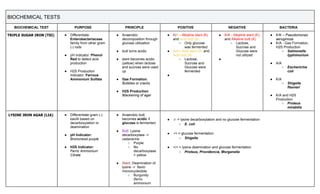 Comprehensive Guide to Biochemical Tests for Bacterial Identification | PDF