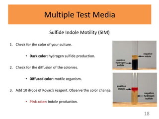 Biochemical tests 2nd week | PPT