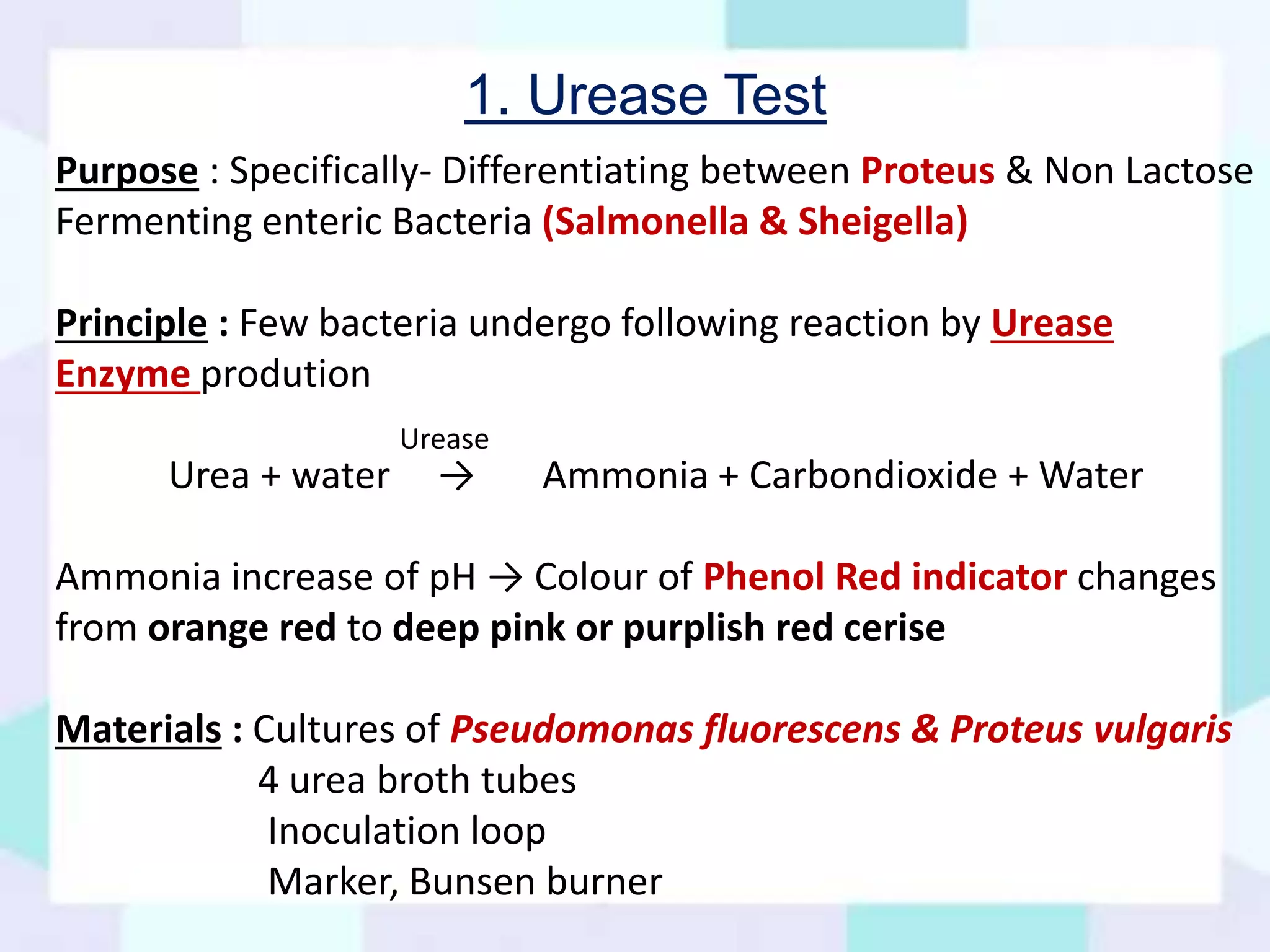 Biochemical tests and serological tests for bacterial disease diagnosis ...