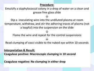 Loopful Biochemical tests and serological tests for bacterial disease diagnosis ...