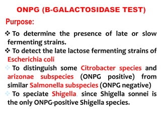 Biochemical tests for identification of bacteria | PPT