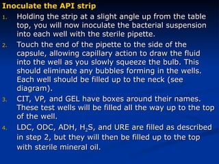 Comprehensive Guide to Biochemical Tests for Bacterial Identification | PPT
