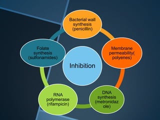 Bacterial wall
                    synthesis
                    (penicillin)



     Folate                            Membrane
   synthesis                          permeability(
(sulfonamides)                         polyenes)
                   Inhibition



                                   DNA
             RNA
                                 synthesis
        polymerase
                                (metronidaz
        (rifampicin)
                                   ole)
 
