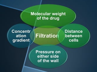 Molecular weight
             of the drug


Concentr                    Distance
 ation       Filtration     between
gradient                      cells

             Pressure on
              either side
              of the wall
 