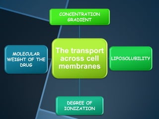 CONCENTRATION
                    GRADIENT




 MOLECULAR
                The transport
WEIGHT OF THE    across cell     LIPOSOLUBILITY
    DRUG         membranes



                   DEGREE OF
                  IONIZATION
 