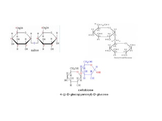 biochemistry- unit1-carbohydrates-structure and functions | PPT