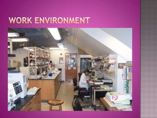 Work Environment