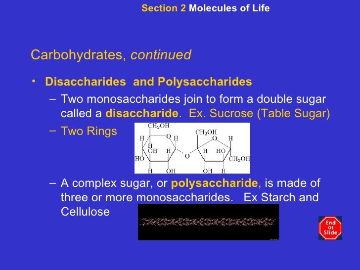 biochemistry two monosaccharides join to form a