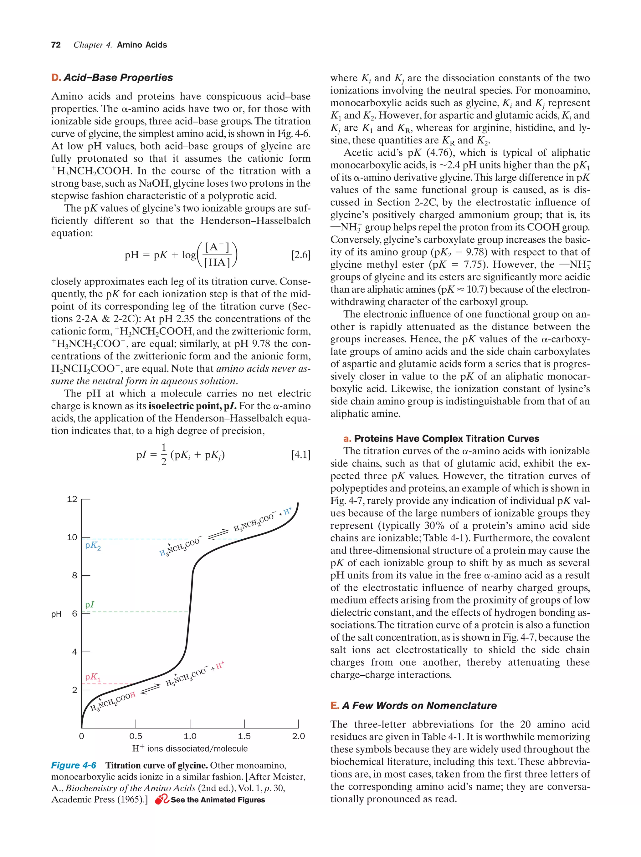 72

Chapter 4. Amino Acids

D. Acid–Base Properties
Amino acids and proteins have conspicuous acid–base
properties. The ␣-amino acids have two or, for those with
ionizable side groups, three acid–base groups. The titration
curve of glycine, the simplest amino acid, is shown in Fig. 4-6.
At low pH values, both acid–base groups of glycine are
fully protonated so that it assumes the cationic form
ϩ
H3NCH2COOH. In the course of the titration with a
strong base, such as NaOH, glycine loses two protons in the
stepwise fashion characteristic of a polyprotic acid.
The pK values of glycine’s two ionizable groups are sufficiently different so that the Henderson–Hasselbalch
equation:
[A Ϫ ]
[2.6]
pH ϭ pK ϩ log a
b
[HA]
closely approximates each leg of its titration curve. Consequently, the pK for each ionization step is that of the midpoint of its corresponding leg of the titration curve (Sections 2-2A & 2-2C): At pH 2.35 the concentrations of the
cationic form, ϩH3NCH2COOH, and the zwitterionic form,
ϩ
H3NCH2COOϪ, are equal; similarly, at pH 9.78 the concentrations of the zwitterionic form and the anionic form,
H2NCH2COOϪ, are equal. Note that amino acids never assume the neutral form in aqueous solution.
The pH at which a molecule carries no net electric
charge is known as its isoelectric point, pI. For the ␣-amino
acids, the application of the Henderson–Hasselbalch equation indicates that, to a high degree of precision,
pI ϭ

1
(pKi ϩ pKj )
2

[4.1]

12

–
+
COO
NCH 2
H3

10
pK2

+
– +H
COO
CH 2
H 2N

8
pI
pH

6

4
+
– +H
+
COO
CH 2
H 3N

pK1
2

where Ki and Kj are the dissociation constants of the two
ionizations involving the neutral species. For monoamino,
monocarboxylic acids such as glycine, Ki and Kj represent
K1 and K2. However, for aspartic and glutamic acids, Ki and
Kj are K1 and KR, whereas for arginine, histidine, and lysine, these quantities are KR and K2.
Acetic acid’s pK (4.76), which is typical of aliphatic
monocarboxylic acids, is ϳ2.4 pH units higher than the pK1
of its ␣-amino derivative glycine.This large difference in pK
values of the same functional group is caused, as is discussed in Section 2-2C, by the electrostatic influence of
glycine’s positively charged ammonium group; that is, its
ϩ
¬NH3 group helps repel the proton from its COOH group.
Conversely, glycine’s carboxylate group increases the basicity of its amino group (pK2 ϭ 9.78) with respect to that of
glycine methyl ester (pK ϭ 7.75). However, the ¬NHϩ
3
groups of glycine and its esters are significantly more acidic
than are aliphatic amines (pK Ϸ 10.7) because of the electronwithdrawing character of the carboxyl group.
The electronic influence of one functional group on another is rapidly attenuated as the distance between the
groups increases. Hence, the pK values of the ␣-carboxylate groups of amino acids and the side chain carboxylates
of aspartic and glutamic acids form a series that is progressively closer in value to the pK of an aliphatic monocarboxylic acid. Likewise, the ionization constant of lysine’s
side chain amino group is indistinguishable from that of an
aliphatic amine.
a. Proteins Have Complex Titration Curves

The titration curves of the ␣-amino acids with ionizable
side chains, such as that of glutamic acid, exhibit the expected three pK values. However, the titration curves of
polypeptides and proteins, an example of which is shown in
Fig. 4-7, rarely provide any indication of individual pK values because of the large numbers of ionizable groups they
represent (typically 30% of a protein’s amino acid side
chains are ionizable; Table 4-1). Furthermore, the covalent
and three-dimensional structure of a protein may cause the
pK of each ionizable group to shift by as much as several
pH units from its value in the free ␣-amino acid as a result
of the electrostatic influence of nearby charged groups,
medium effects arising from the proximity of groups of low
dielectric constant, and the effects of hydrogen bonding associations. The titration curve of a protein is also a function
of the salt concentration, as is shown in Fig. 4-7, because the
salt ions act electrostatically to shield the side chain
charges from one another, thereby attenuating these
charge–charge interactions.

H

+
COO
CH 2
H 3N

0

0.5
1.0
1.5
H+ ions dissociated/molecule

E. A Few Words on Nomenclature
2.0

Figure 4-6 Titration curve of glycine. Other monoamino,
monocarboxylic acids ionize in a similar fashion. [After Meister,
A., Biochemistry of the Amino Acids (2nd ed.), Vol. 1, p. 30,
Academic Press (1965).]
See the Animated Figures

The three-letter abbreviations for the 20 amino acid
residues are given in Table 4-1. It is worthwhile memorizing
these symbols because they are widely used throughout the
biochemical literature, including this text. These abbreviations are, in most cases, taken from the first three letters of
the corresponding amino acid’s name; they are conversationally pronounced as read.

 