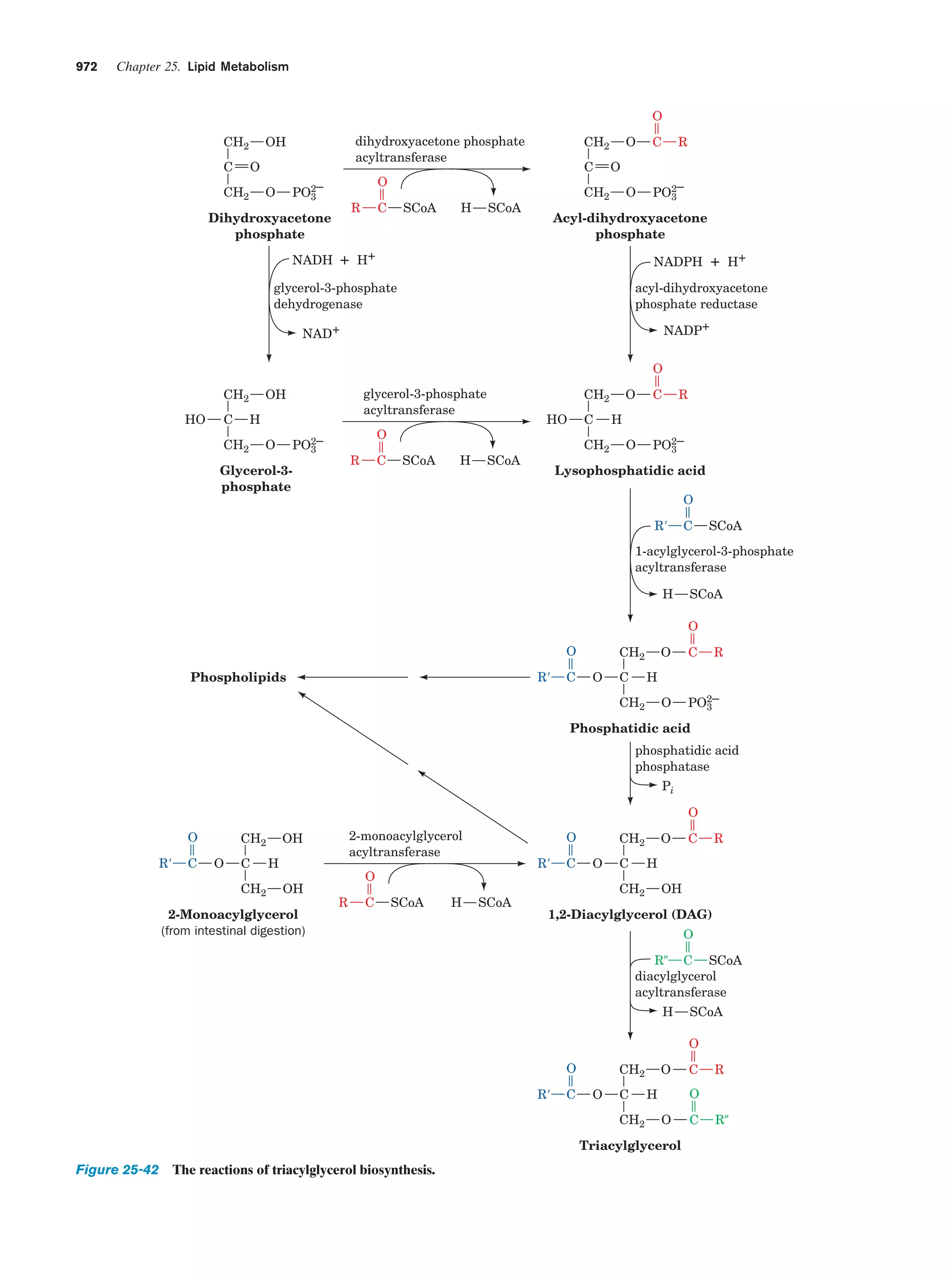 Biochemistry.4th.edition