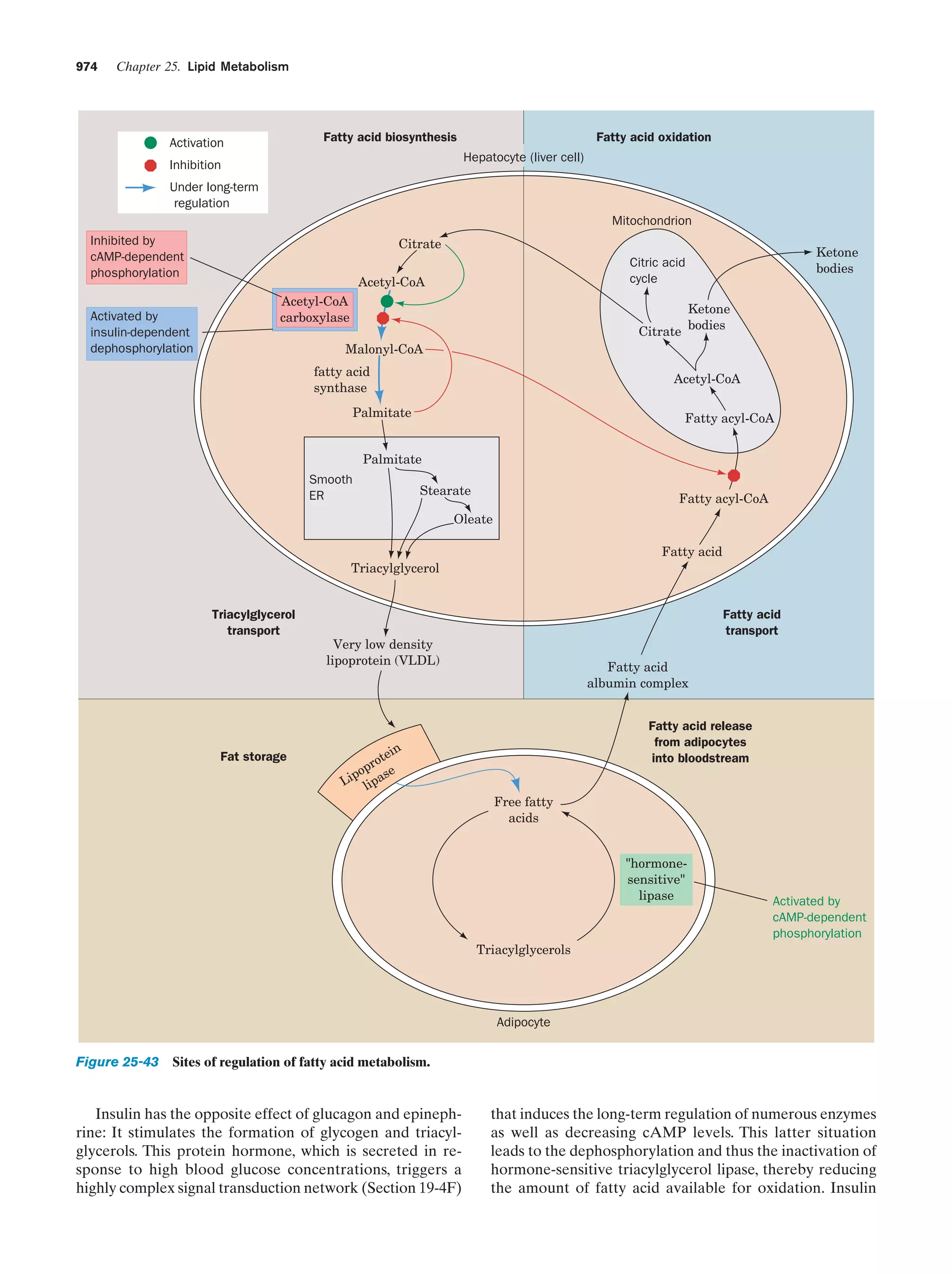 Biochemistry.4th.edition